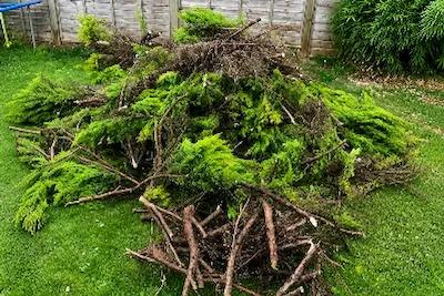 Afvoer van tuinafval en groenafval